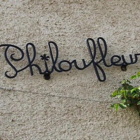 Philoufleur - Restaure En Campagne Appartement Chaneins